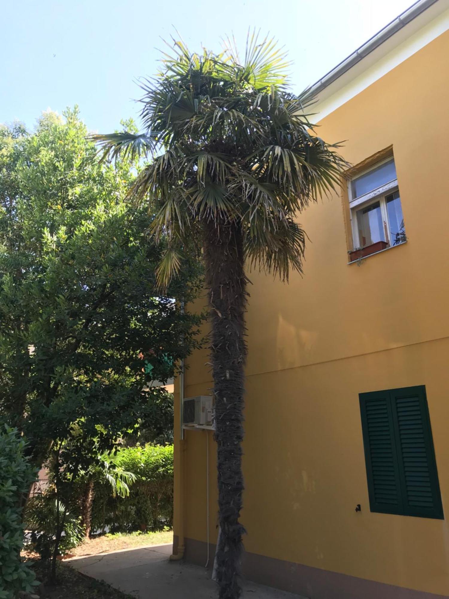 Apartment Zara Sun Exterior foto